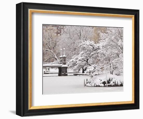 Snow covered trees with a footbridge in a public park, Boston Public Garden, Boston, Massachusetts,-Mark Hunt-Framed Photographic Print