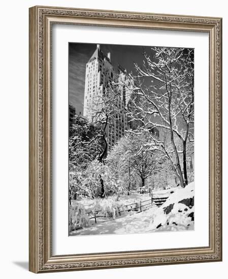 Snow-Covered Trees-null-Framed Photographic Print