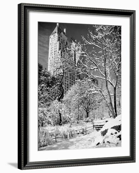 Snow-Covered Trees-null-Framed Photographic Print