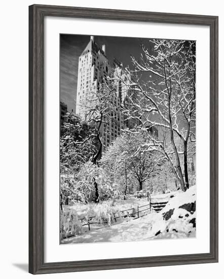 Snow-Covered Trees-null-Framed Photographic Print