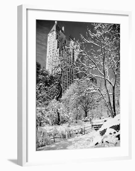 Snow-Covered Trees-null-Framed Photographic Print