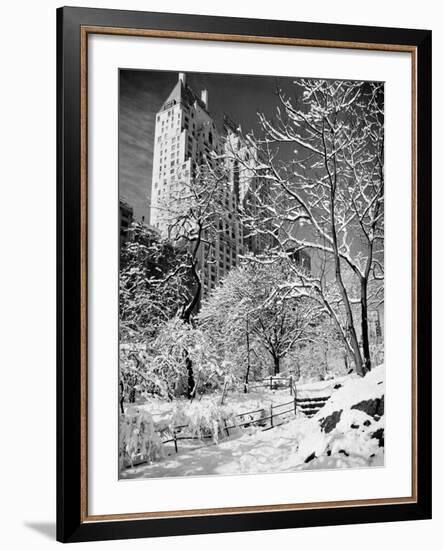 Snow-Covered Trees-null-Framed Photographic Print