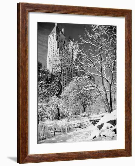 Snow-Covered Trees-null-Framed Photographic Print