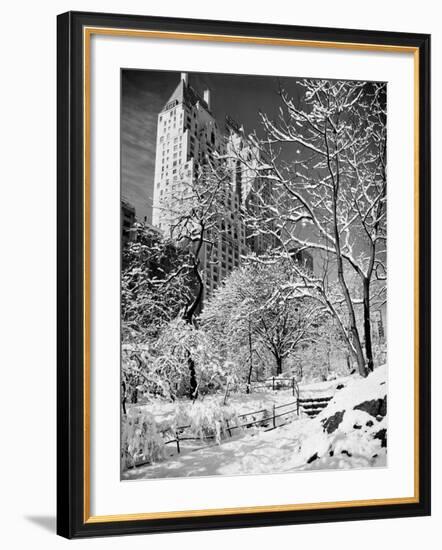 Snow-Covered Trees-null-Framed Photographic Print