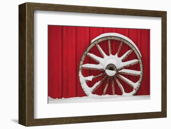 Snow-covered wagon wheels against red barn near town of Banff, Canadian Rockies, Alberta, Canada-Stuart Westmorland-Framed Photographic Print