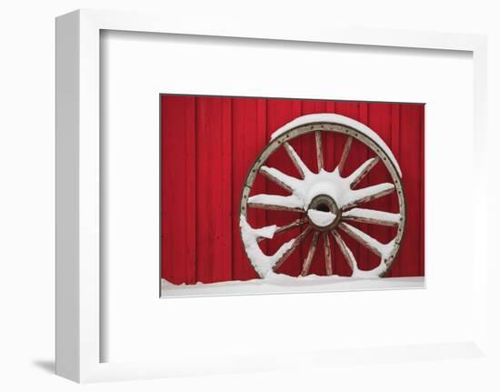 Snow-covered wagon wheels against red barn near town of Banff, Canadian Rockies, Alberta, Canada-Stuart Westmorland-Framed Photographic Print
