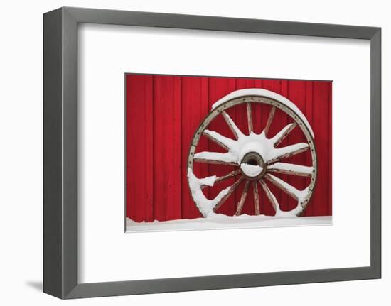 Snow-covered wagon wheels against red barn near town of Banff, Canadian Rockies, Alberta, Canada-Stuart Westmorland-Framed Photographic Print