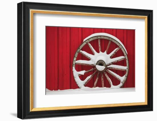 Snow-covered wagon wheels against red barn near town of Banff, Canadian Rockies, Alberta, Canada-Stuart Westmorland-Framed Photographic Print