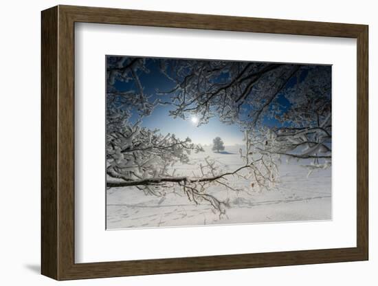 Snow-Covered Winter Scenery, Triebtal, Vogtland, Saxony, Germany-Falk Hermann-Framed Photographic Print