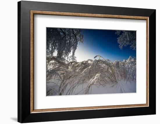 Snow-Covered Winter Scenery, Triebtal, Vogtland, Saxony, Germany-Falk Hermann-Framed Photographic Print