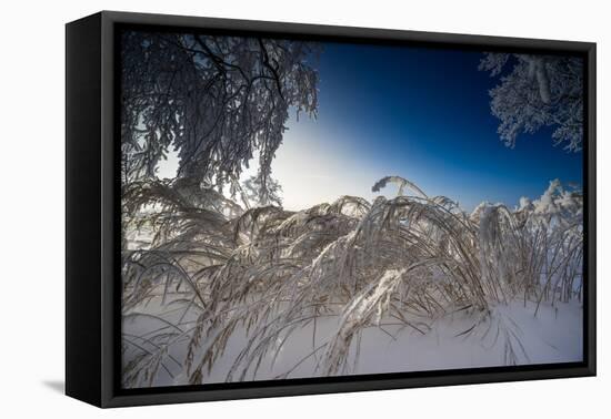 Snow-Covered Winter Scenery, Triebtal, Vogtland, Saxony, Germany-Falk Hermann-Framed Premier Image Canvas