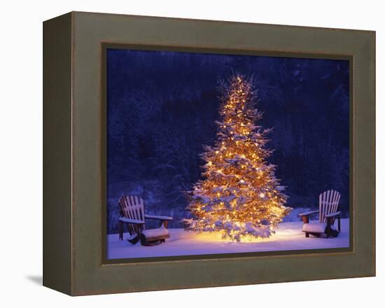 Snow Covering Adirondack Chairs by Lit Christmas Tree-Jim Craigmyle-Framed Premier Image Canvas