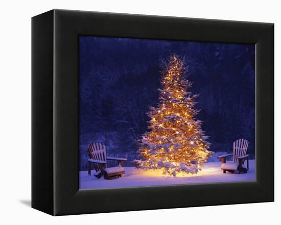 Snow Covering Adirondack Chairs by Lit Christmas Tree-Jim Craigmyle-Framed Premier Image Canvas