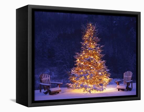 Snow Covering Adirondack Chairs by Lit Christmas Tree-Jim Craigmyle-Framed Premier Image Canvas