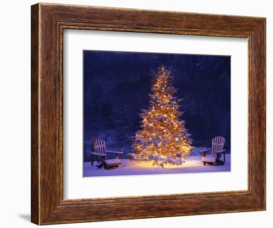 Snow Covering Adirondack Chairs by Lit Christmas Tree-Jim Craigmyle-Framed Premium Photographic Print