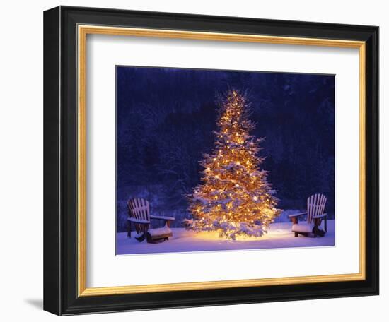 Snow Covering Adirondack Chairs by Lit Christmas Tree-Jim Craigmyle-Framed Premium Photographic Print