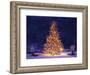 Snow Covering Adirondack Chairs by Lit Christmas Tree-Jim Craigmyle-Framed Photographic Print