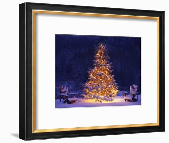 Snow Covering Adirondack Chairs by Lit Christmas Tree-Jim Craigmyle-Framed Photographic Print