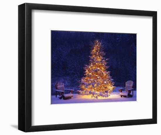 Snow Covering Adirondack Chairs by Lit Christmas Tree-Jim Craigmyle-Framed Photographic Print