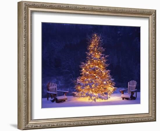 Snow Covering Adirondack Chairs by Lit Christmas Tree-Jim Craigmyle-Framed Photographic Print