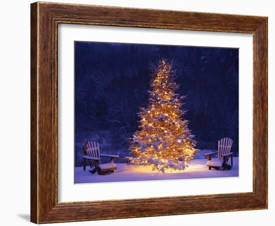 Snow Covering Adirondack Chairs by Lit Christmas Tree-Jim Craigmyle-Framed Photographic Print