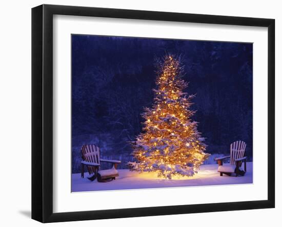 Snow Covering Adirondack Chairs by Lit Christmas Tree-Jim Craigmyle-Framed Photographic Print