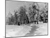 Snow Covering Countryside Near Lake Ladoga-Carl Mydans-Mounted Photographic Print