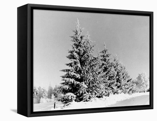 Snow Covering Countryside Near Lake Ladoga-Carl Mydans-Framed Premier Image Canvas