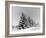 Snow Covering Countryside Near Lake Ladoga-Carl Mydans-Framed Photographic Print