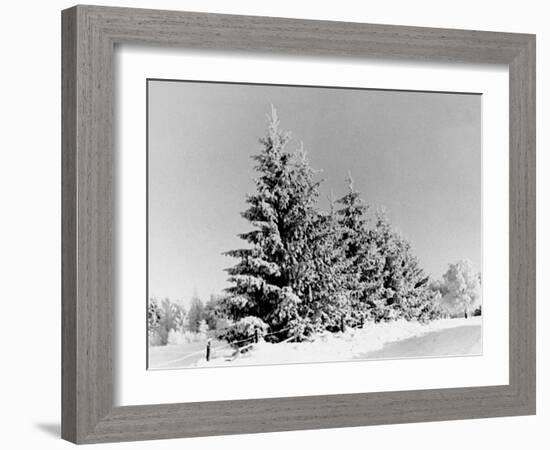 Snow Covering Countryside Near Lake Ladoga-Carl Mydans-Framed Photographic Print