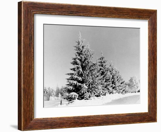 Snow Covering Countryside Near Lake Ladoga-Carl Mydans-Framed Photographic Print