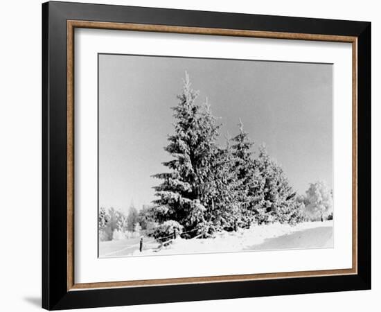 Snow Covering Countryside Near Lake Ladoga-Carl Mydans-Framed Photographic Print