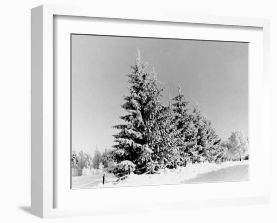 Snow Covering Countryside Near Lake Ladoga-Carl Mydans-Framed Photographic Print