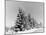 Snow Covering Countryside Near Lake Ladoga-Carl Mydans-Mounted Photographic Print