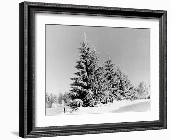 Snow Covering Countryside Near Lake Ladoga-Carl Mydans-Framed Photographic Print