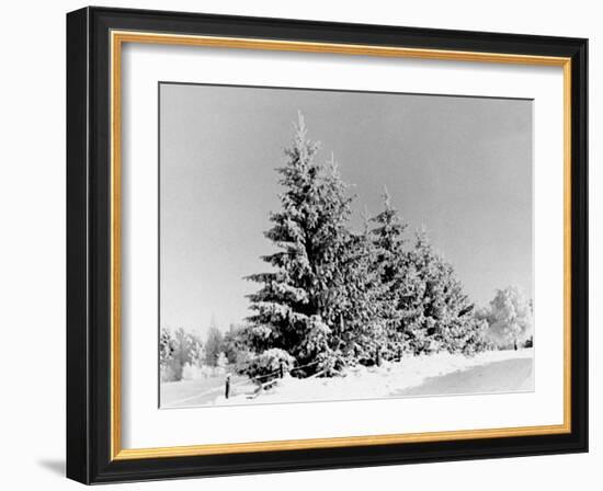 Snow Covering Countryside Near Lake Ladoga-Carl Mydans-Framed Photographic Print