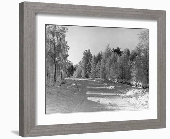 Snow Covering Countryside Northeast of Lake Ladoga-Carl Mydans-Framed Photographic Print