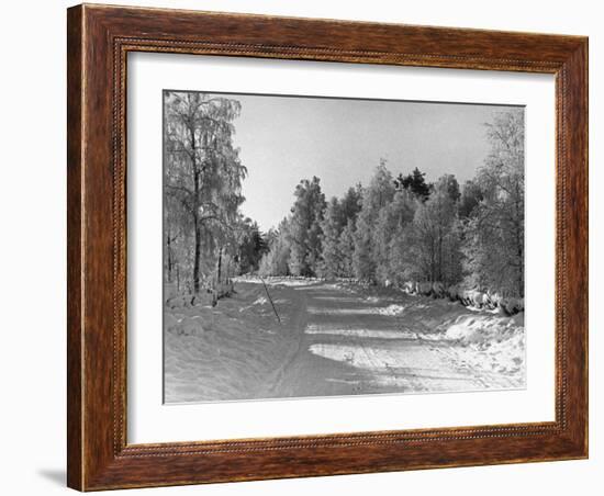 Snow Covering Countryside Northeast of Lake Ladoga-Carl Mydans-Framed Photographic Print