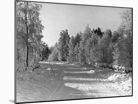 Snow Covering Countryside Northeast of Lake Ladoga-Carl Mydans-Mounted Photographic Print