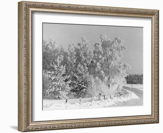 Snow Covering Countryside Northeast of Lake Ladoga-Carl Mydans-Framed Photographic Print