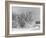 Snow Covering Countryside Northeast of Lake Ladoga-Carl Mydans-Framed Photographic Print