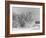 Snow Covering Countryside Northeast of Lake Ladoga-Carl Mydans-Framed Photographic Print