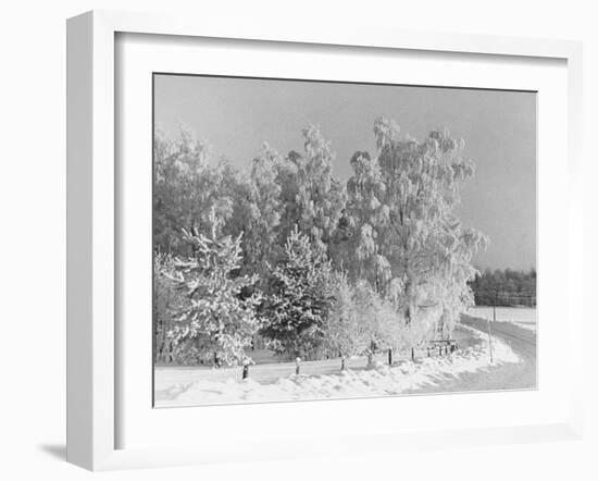 Snow Covering Countryside Northeast of Lake Ladoga-Carl Mydans-Framed Photographic Print