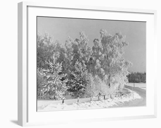 Snow Covering Countryside Northeast of Lake Ladoga-Carl Mydans-Framed Photographic Print