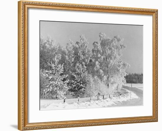 Snow Covering Countryside Northeast of Lake Ladoga-Carl Mydans-Framed Photographic Print