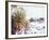 Snow Covers the Ground and Joshua Trees near Mt. Charleston, north of Las Vegas, Nevada, USA-Brent Bergherm-Framed Photographic Print