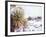 Snow Covers the Ground and Joshua Trees near Mt. Charleston, north of Las Vegas, Nevada, USA-Brent Bergherm-Framed Photographic Print