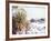 Snow Covers the Ground and Joshua Trees near Mt. Charleston, north of Las Vegas, Nevada, USA-Brent Bergherm-Framed Photographic Print