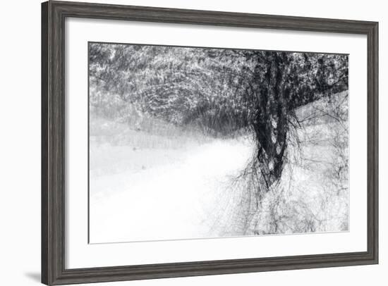 Snow Dancer-Ursula Abresch-Framed Photographic Print