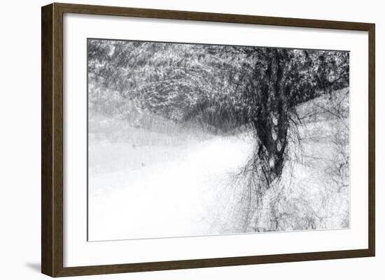 Snow Dancer-Ursula Abresch-Framed Photographic Print